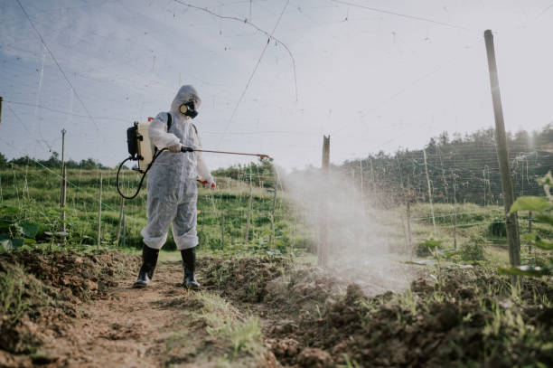 Best Pest Control Cost  in Sagamore, MA