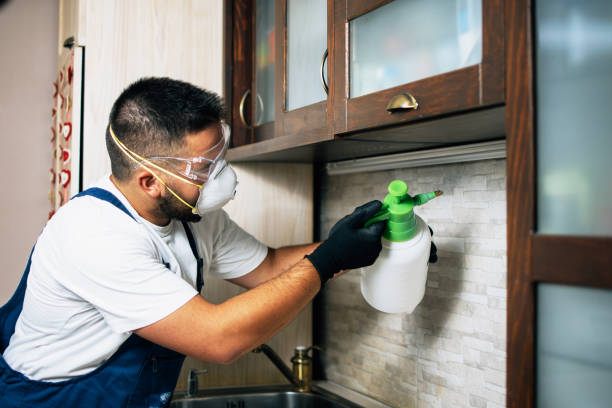Best Emergency Pest Control  in Sagamore, MA