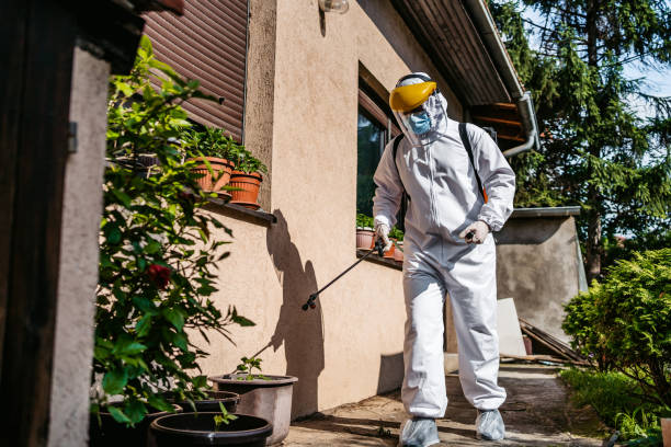 Wildlife Control Services in Sagamore, MA