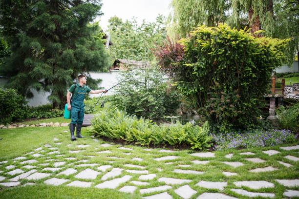 Best Insect Control  in Sagamore, MA