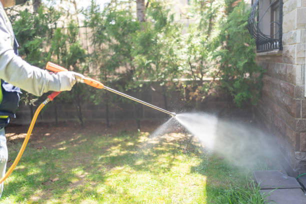 Best Emergency Pest Control  in Sagamore, MA