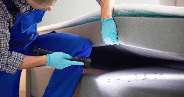 Best Residential Pest Control  in Sagamore, MA