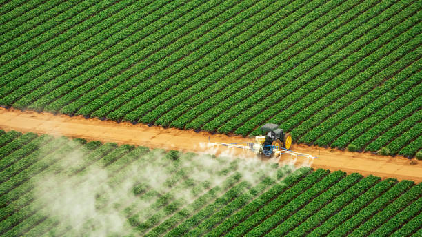 Best Mosquito Control Services  in Sagamore, MA