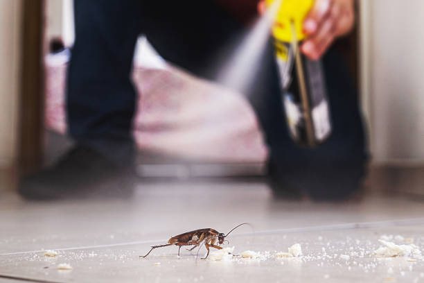 Best Best Pest Control Companies  in Sagamore, MA