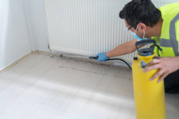 Best Exterminator Services  in Sagamore, MA